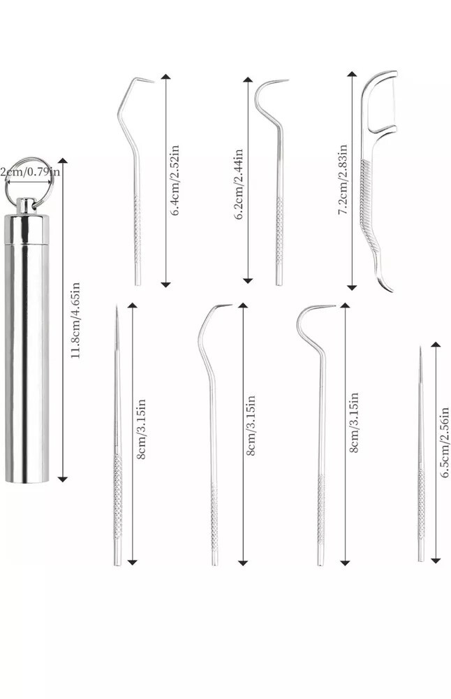 7PC Portable Steel Toothpicks Set Reusable Metal Toothpick Kit gift holiday Camp