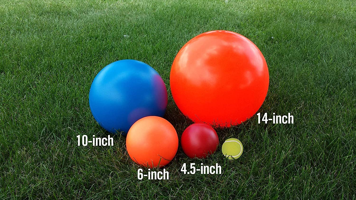 B00CIT99BC Virtually Indestructible Best Ball (Hard Plastic, Colors May Vary), A