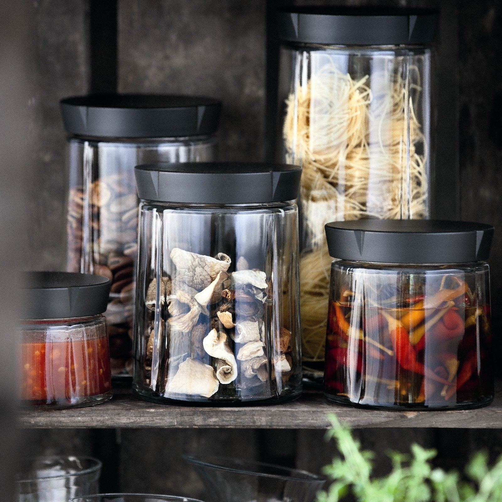 Grand Cru Storage Jar Black 4.3 Inch Height 16.9 Oz With Gift Box Included