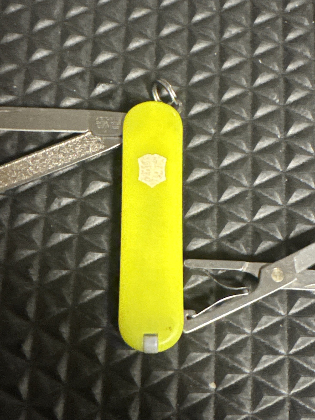 Victorinox Swiss Army Classic SD Stayglow Pocket Knife