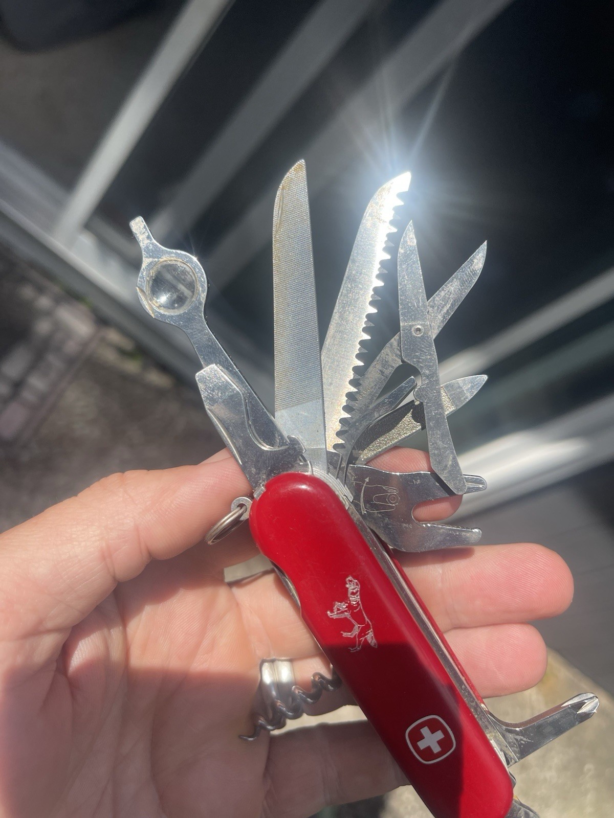 Rare Setter Pointer Wenger Delemont Switzerland Large Swiss Army Knife