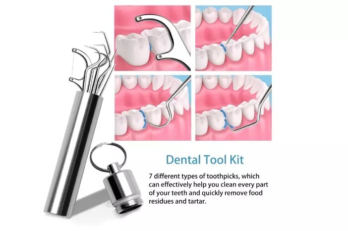 7PC Portable Steel Toothpicks Set Reusable Metal Toothpick Kit gift holiday Camp