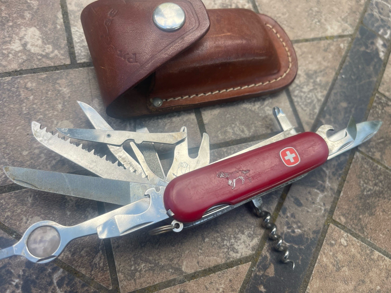Rare Setter Pointer Wenger Delemont Switzerland Large Swiss Army Knife