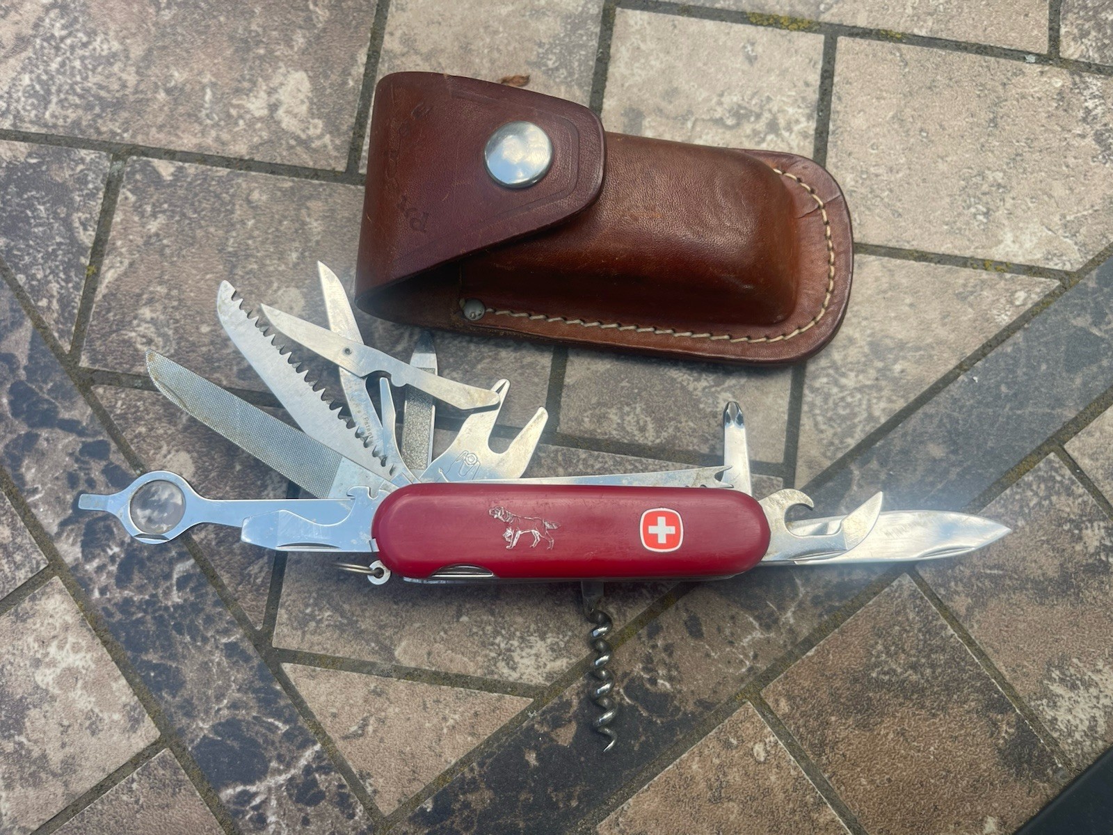 Rare Setter Pointer Wenger Delemont Switzerland Large Swiss Army Knife