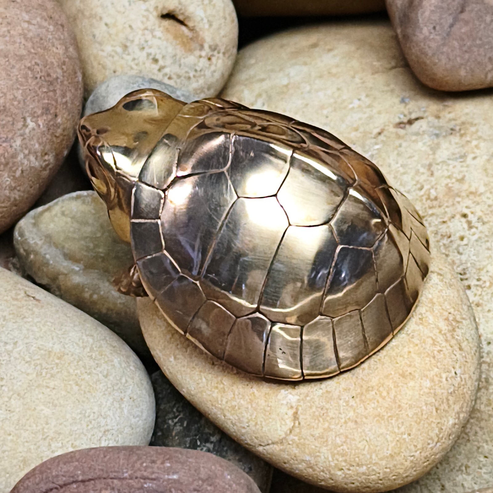 Purple copper yellow margined box turtle Tortoise handcraft animal reptile