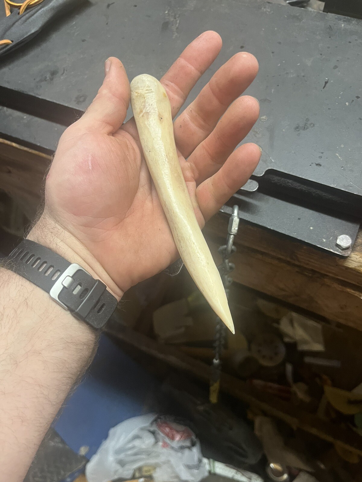 one time use 100% bone tool knife And Sheath With Zero Metal In It