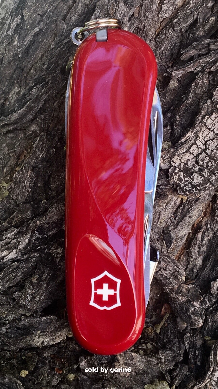 Victorinox Swiss Army Knife Evolution S14, 2.3903.SE-X2 Locking Blade New In Box