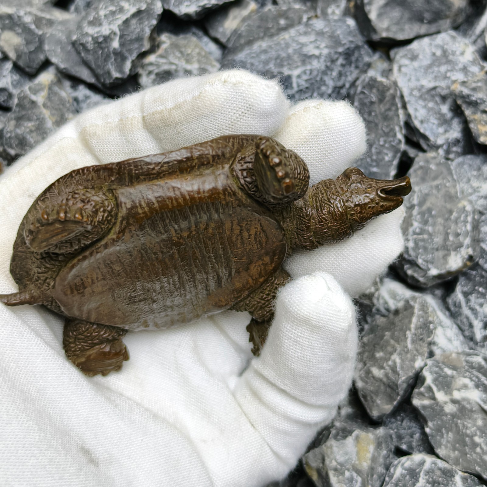 Solid Refined soft shelled Turtle Statue Artwork Decor pet reptile cast sculptur