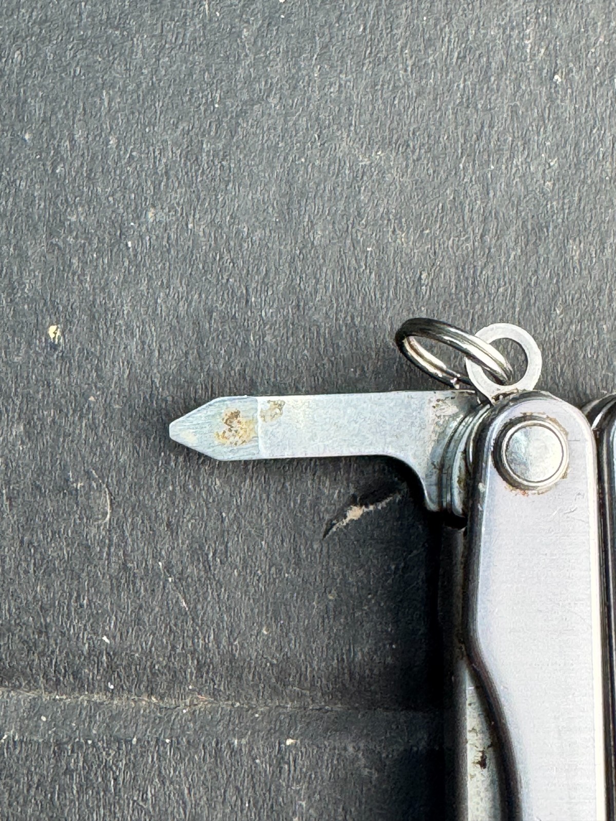 Leatherman Squirt S4 Stainless Steel Multitool Keychain – Gray
