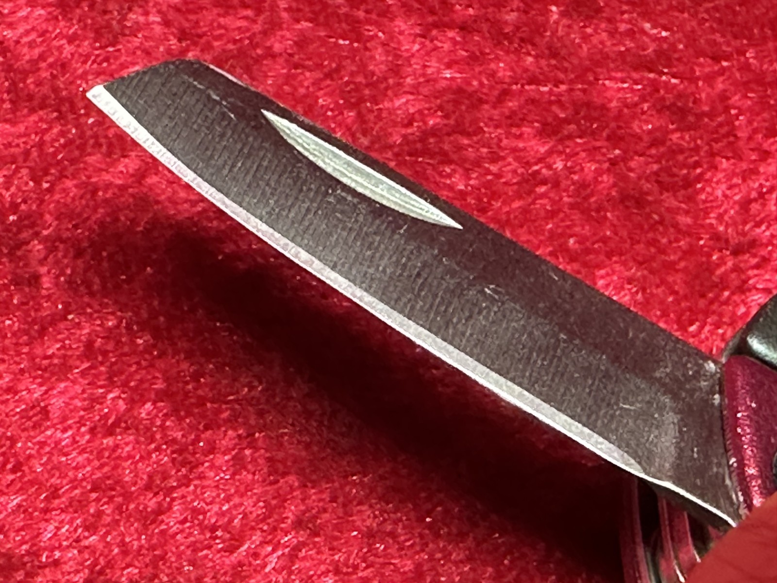Gerber Dime Burgundy Wine Mini Multi-Tool Keychain Random Pick Rare Color (445)