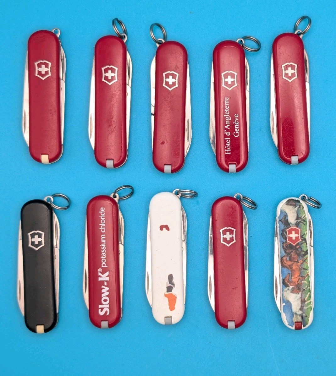 Lot of 10 Victorinox Classic Swiss Army Knife Multi Tools!