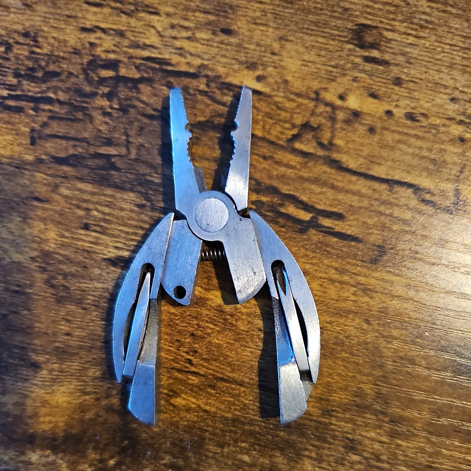 Pocket Tool. Foldable Beetle. Cute