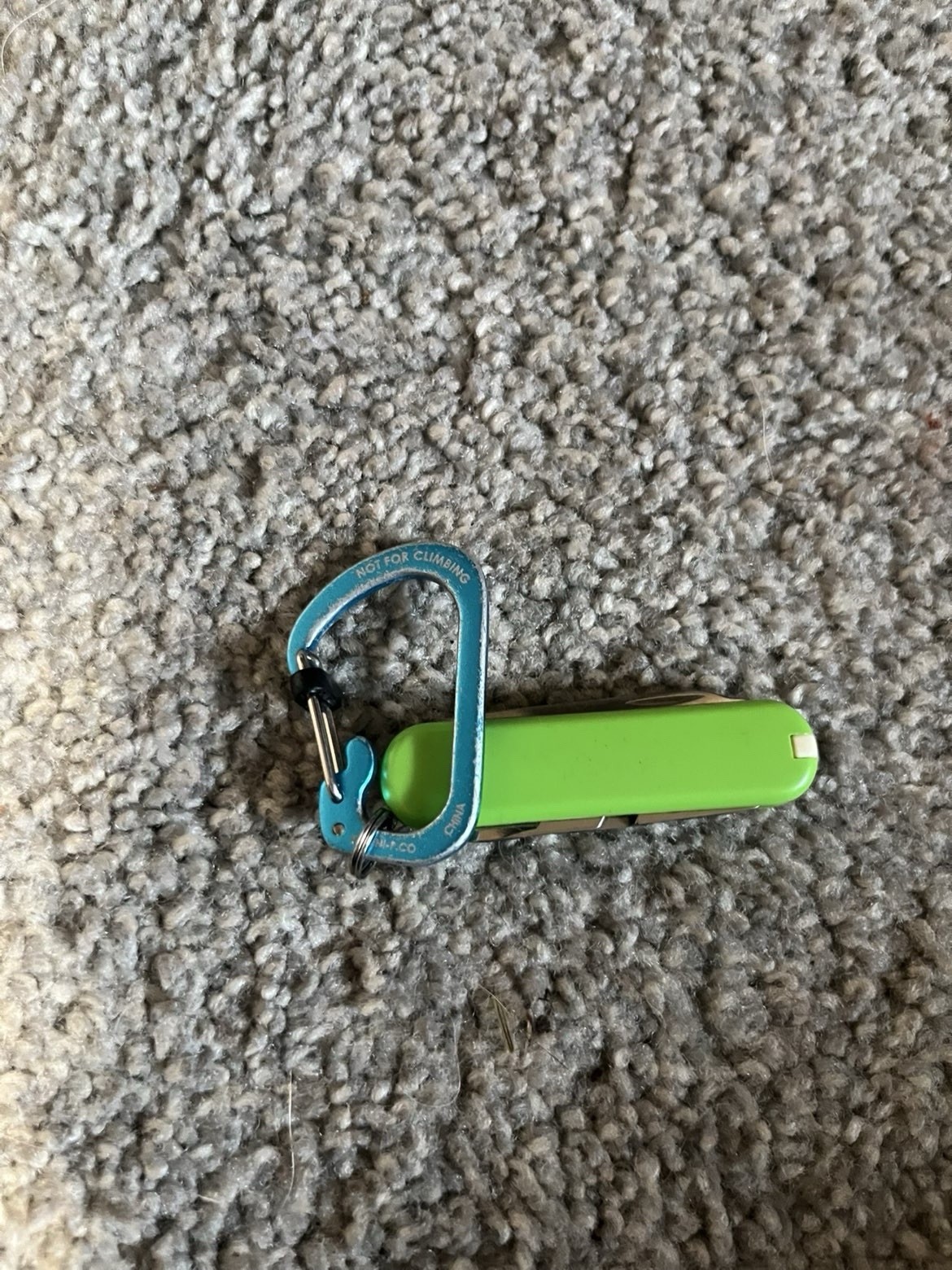 Swiss Multi-Tool Green Plastic Stainless Steel with Carabiner