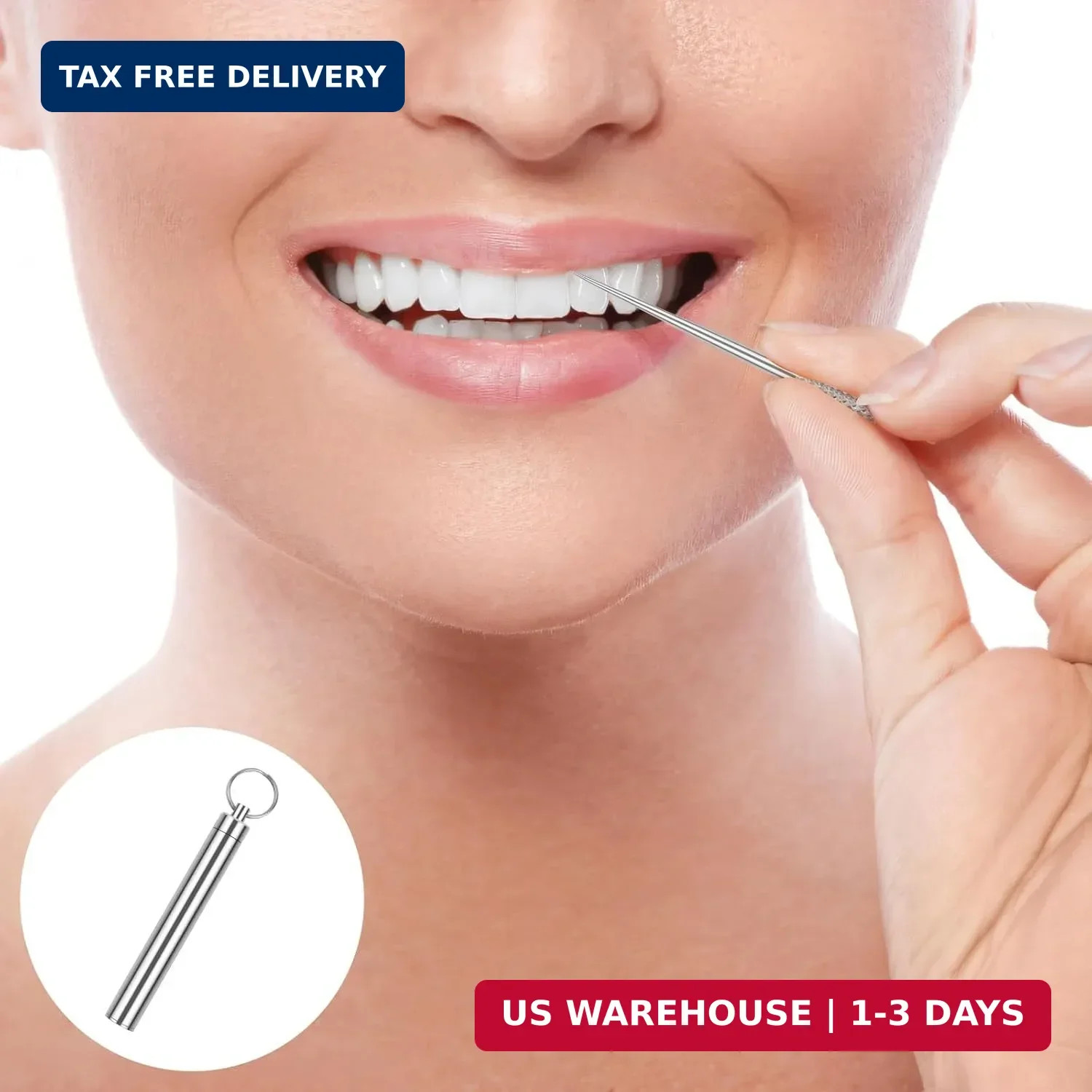 10 Pcs Reusable Metal Toothpick with Waterproof Case, Portable Stainless Steel T