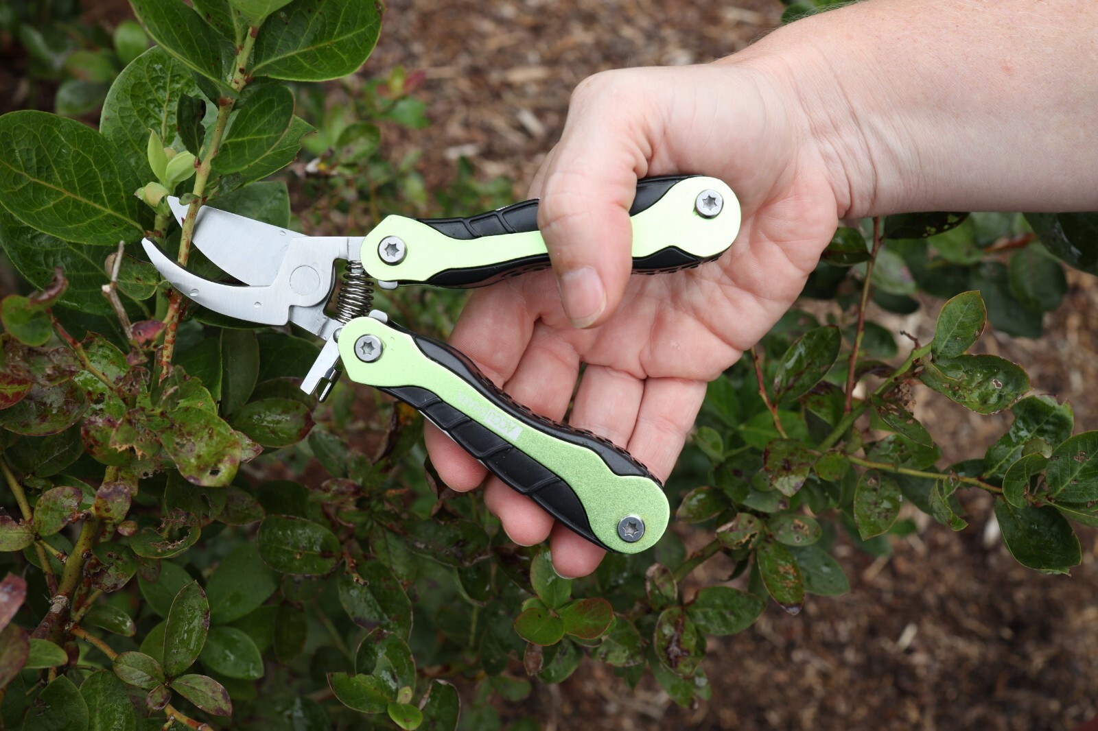 AccuSharp Gardener’s Multi-Tool Pruner/Accessory Set Ten Tools With Carry Case
