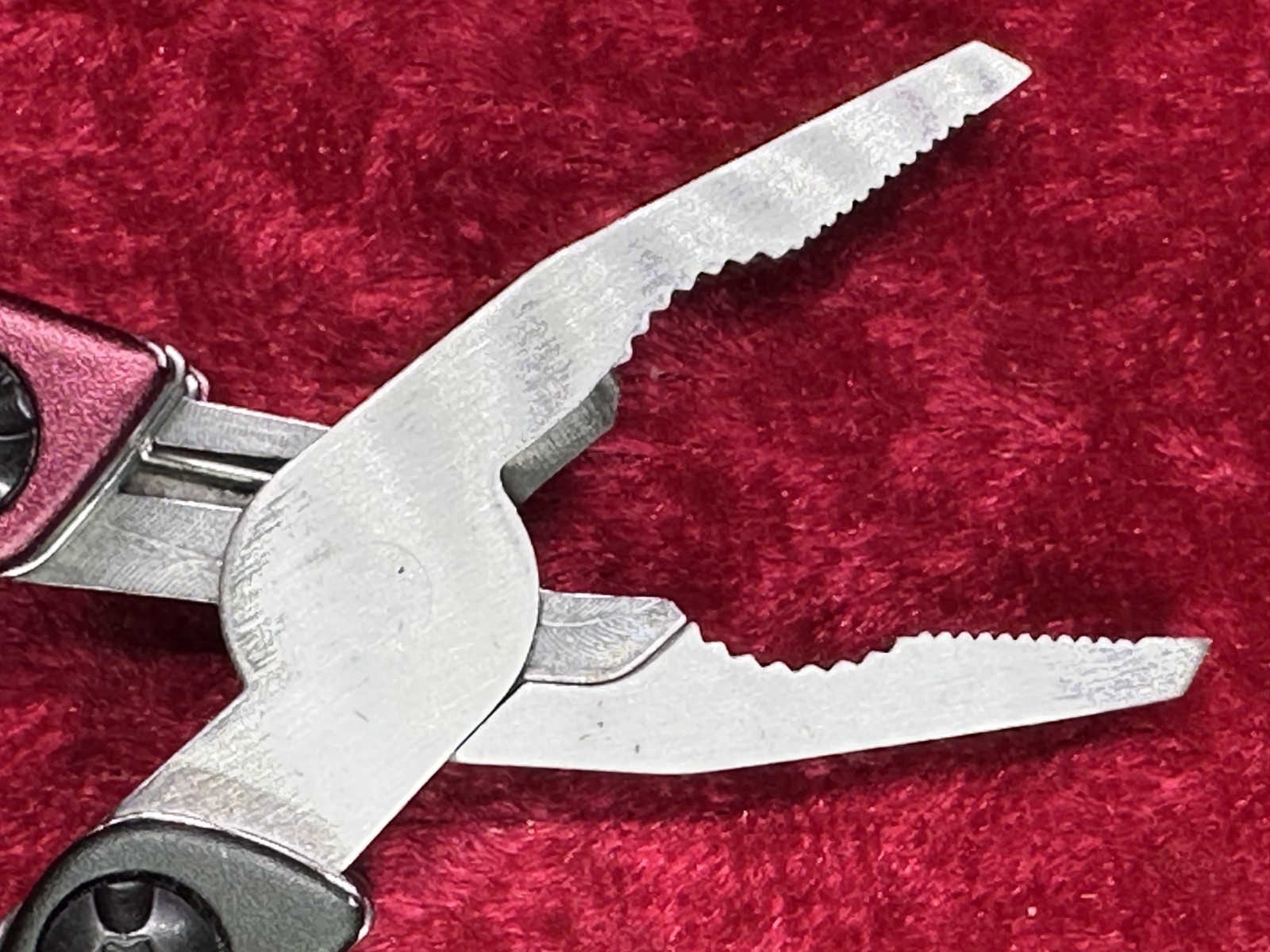 Gerber Dime Burgundy Wine Mini Multi-Tool Keychain Random Pick Rare Color (445)