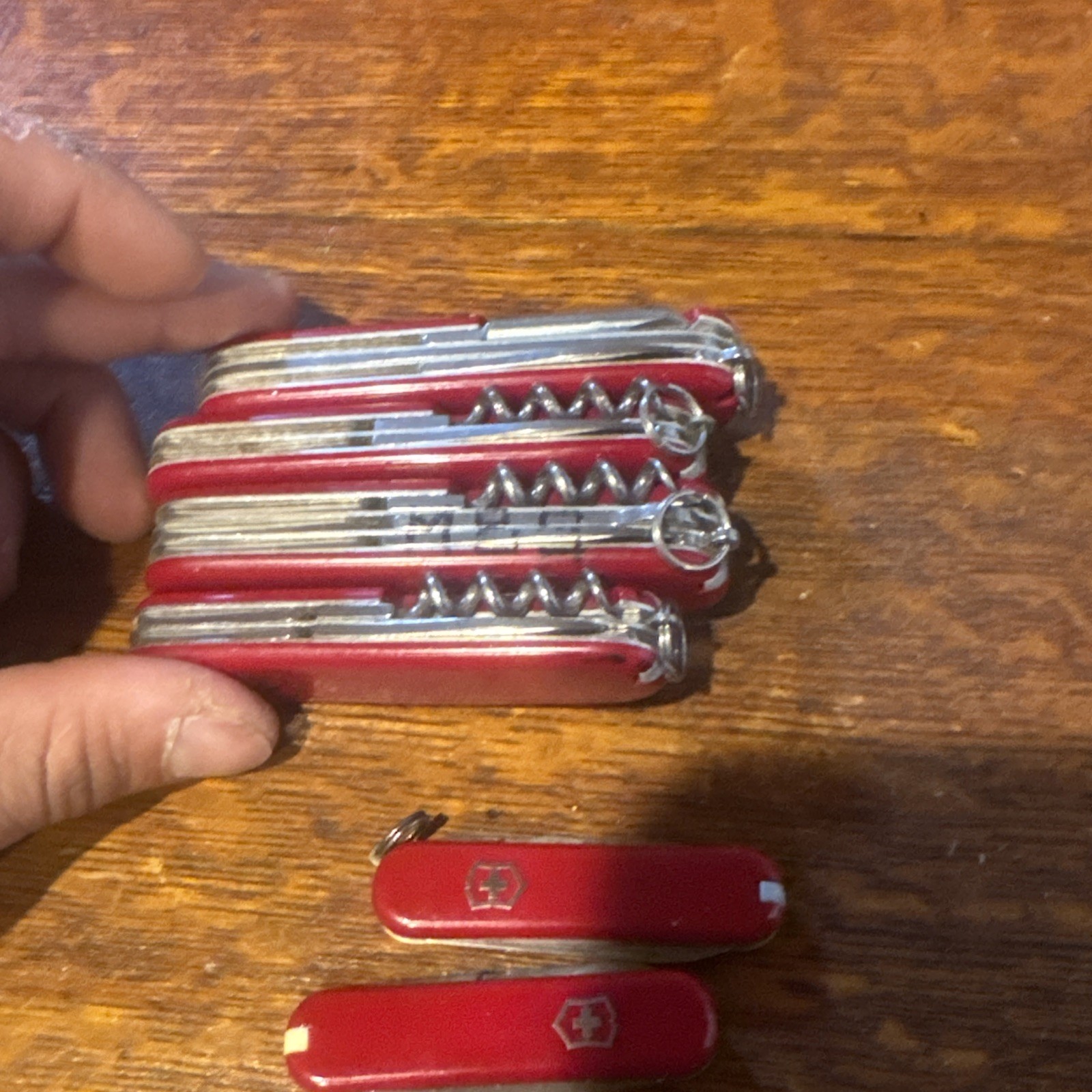 Victorinox Swiss Army Knives And Scissors Microsoft, Novell Collectors Lot