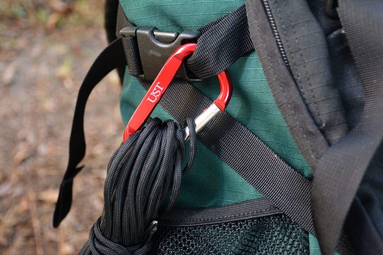 60lb. D-Ring Carabiner 2 Pack – Ships as Assorted Colors (NOT FOR CLIMBING)