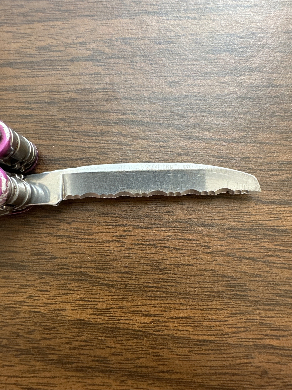 Discontinued Gen 1 Purple Leatherman Juice XE6, Fish, Great EDC *READ*