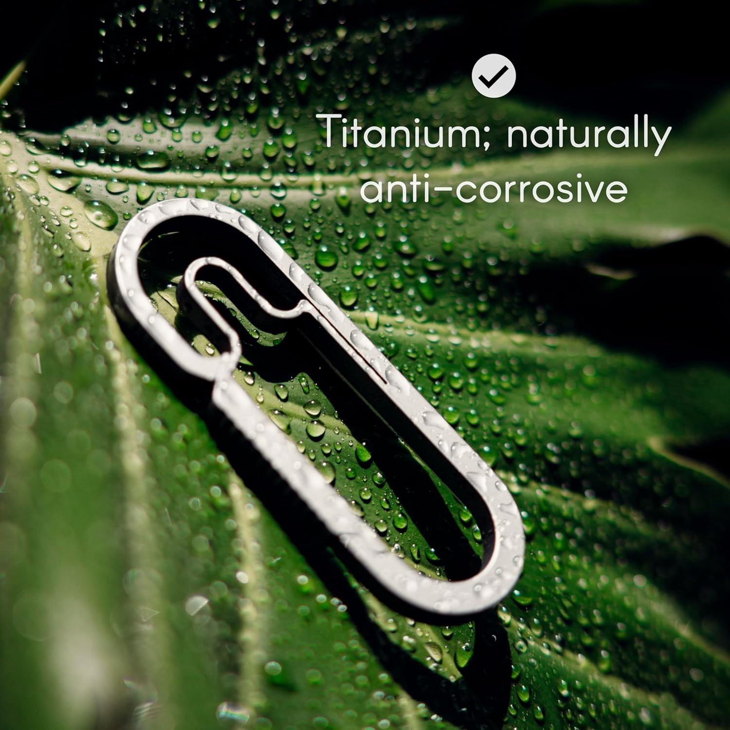 MØTH | Baxter Titanium Carabiner Keychain – Ultralight for Everyday Carry, Hi