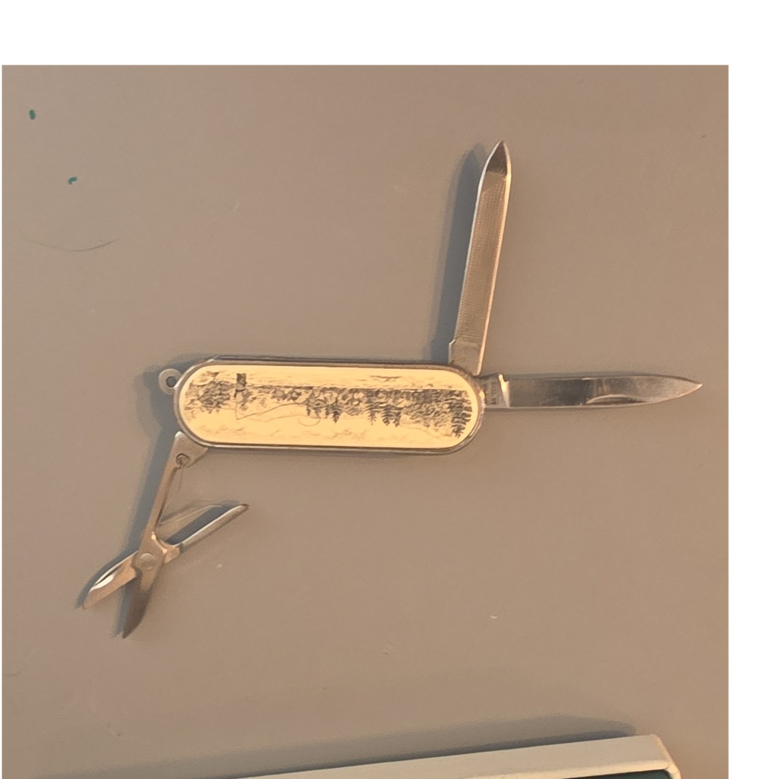 Silver Multi-Tool Pocket Knife 4 Tools w/ Scissors Nail File Lanyard Hole