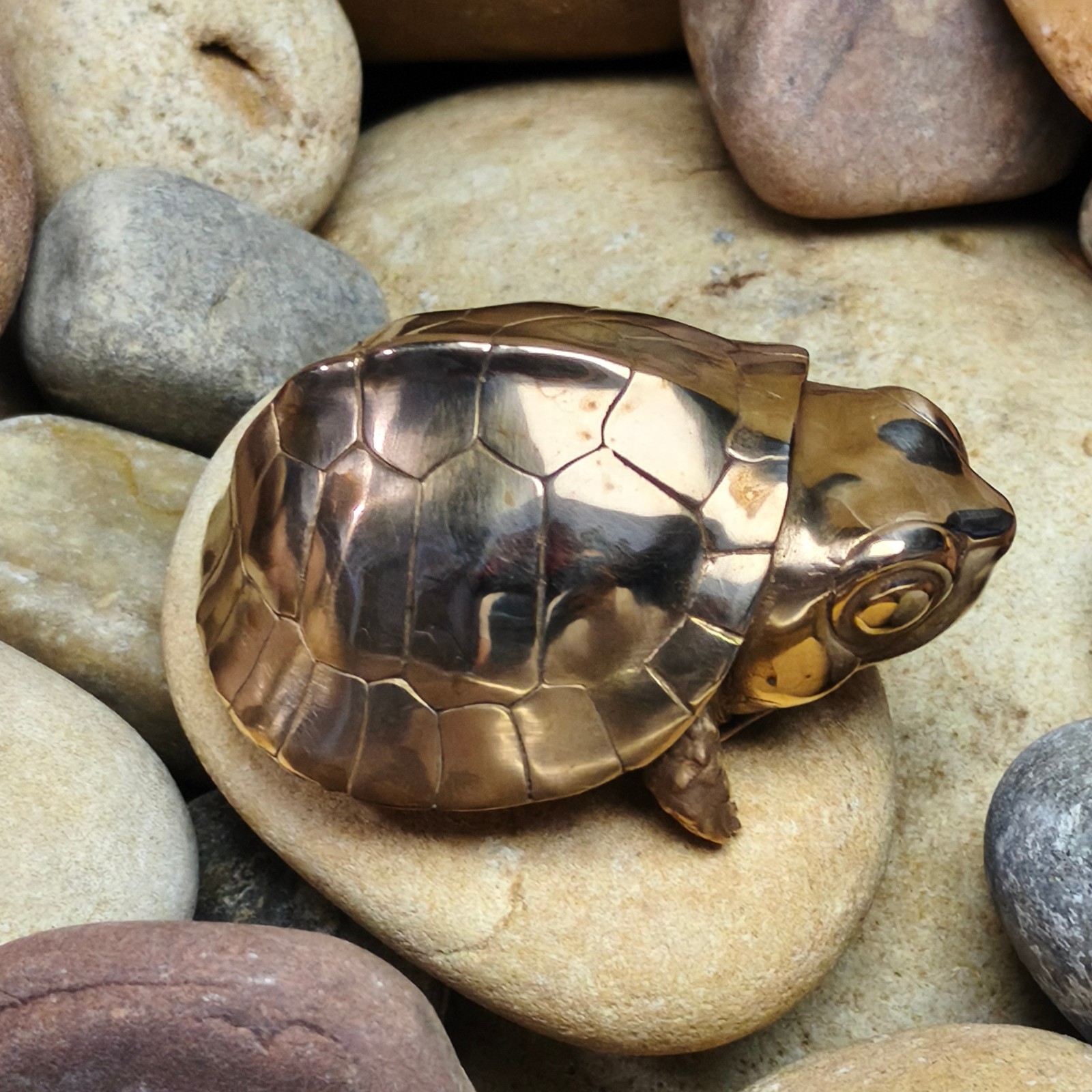 Purple copper yellow margined box turtle Tortoise handcraft animal reptile