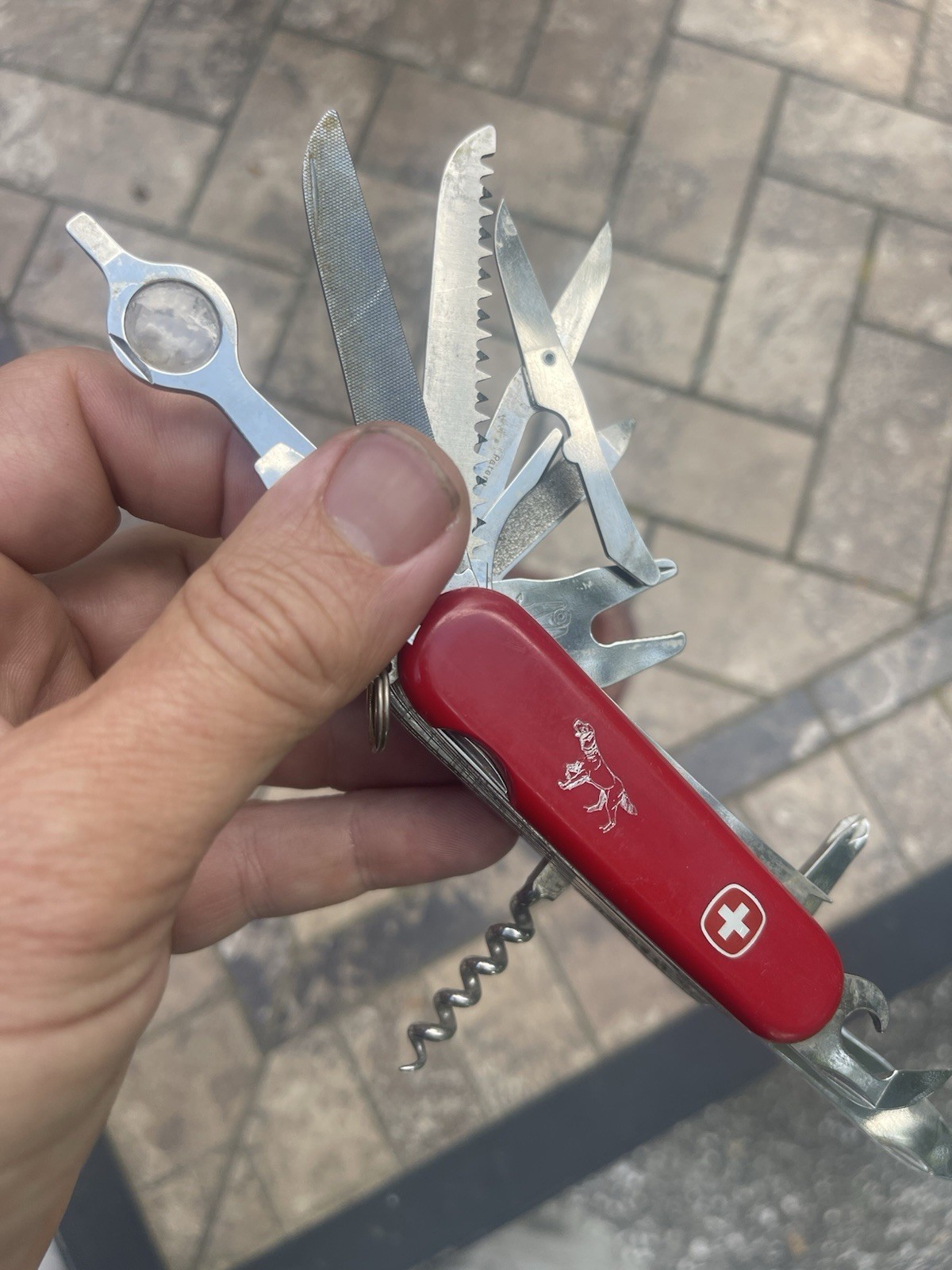 Rare Setter Pointer Wenger Delemont Switzerland Large Swiss Army Knife