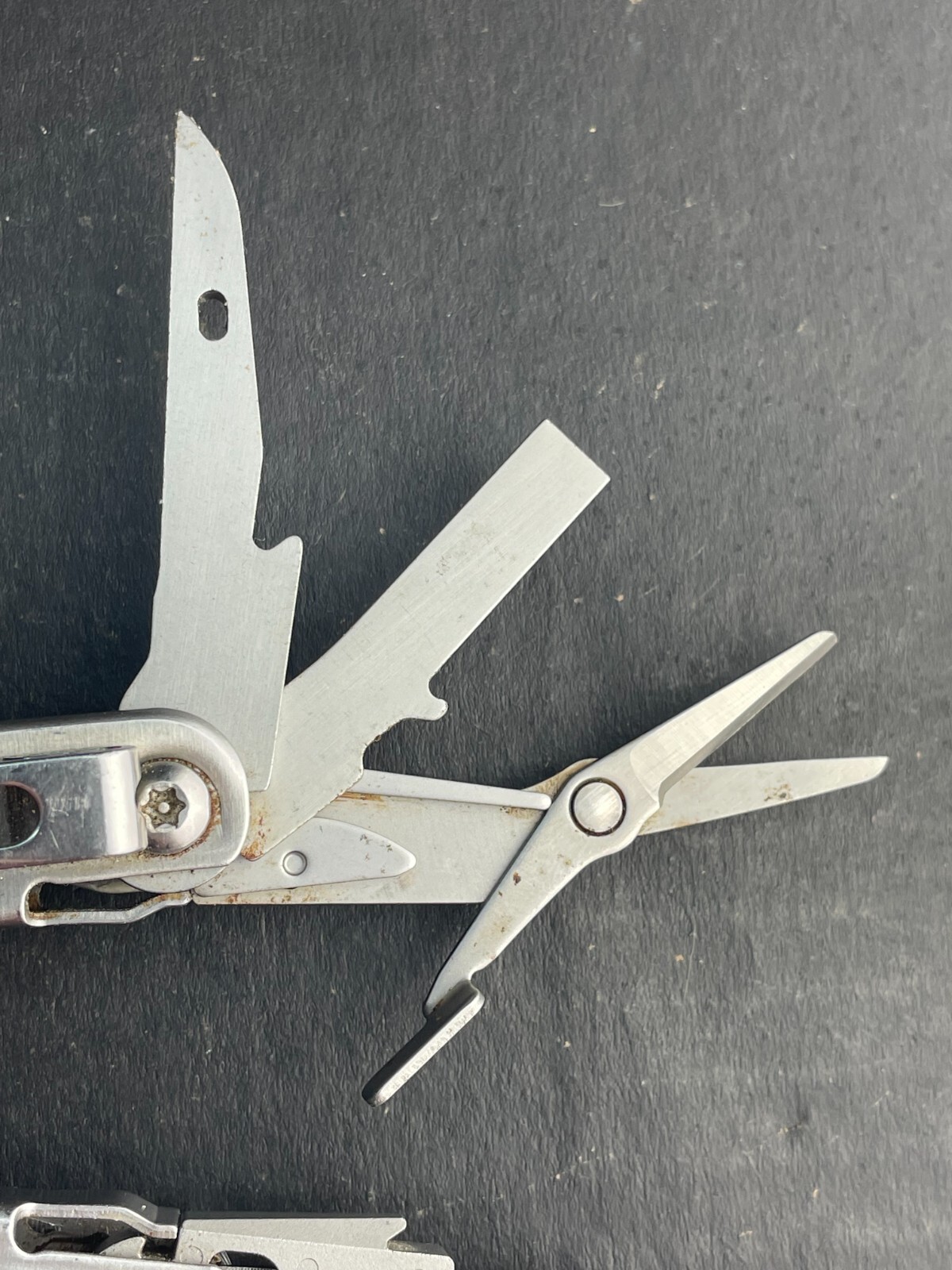 Leatherman Curl Stainless Steel Multi-Tool