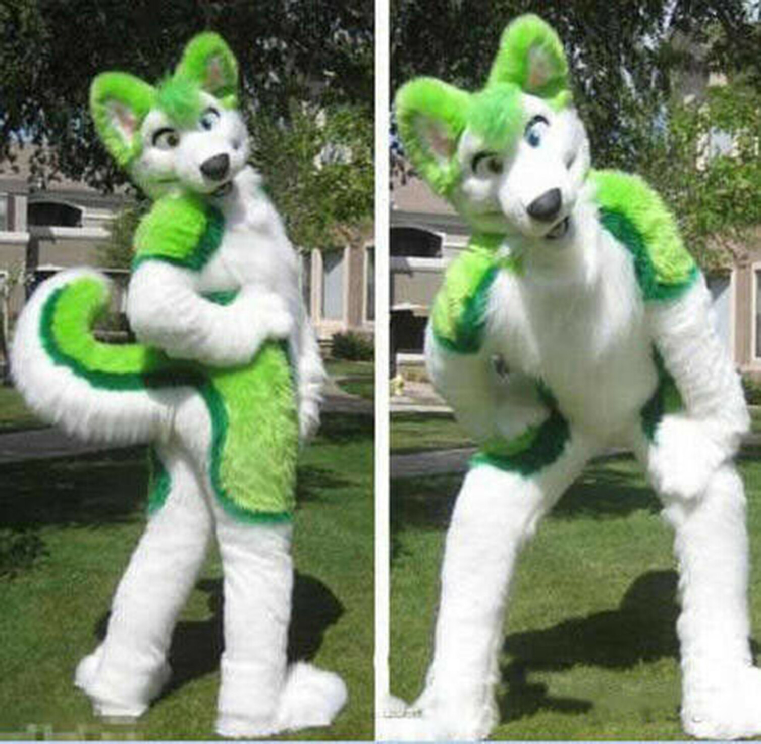 2022 Long Fur Husky Dog Fox Mascot Costume Fursuit Halloween Suit Cosplay 62#