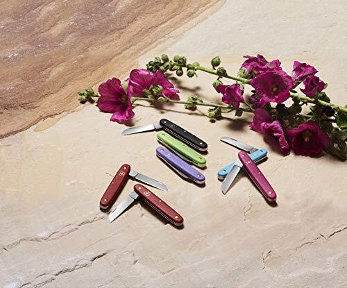 Victorinox Garden Floral Knife Swiss Made Straight Blade Stainless Steel Ice