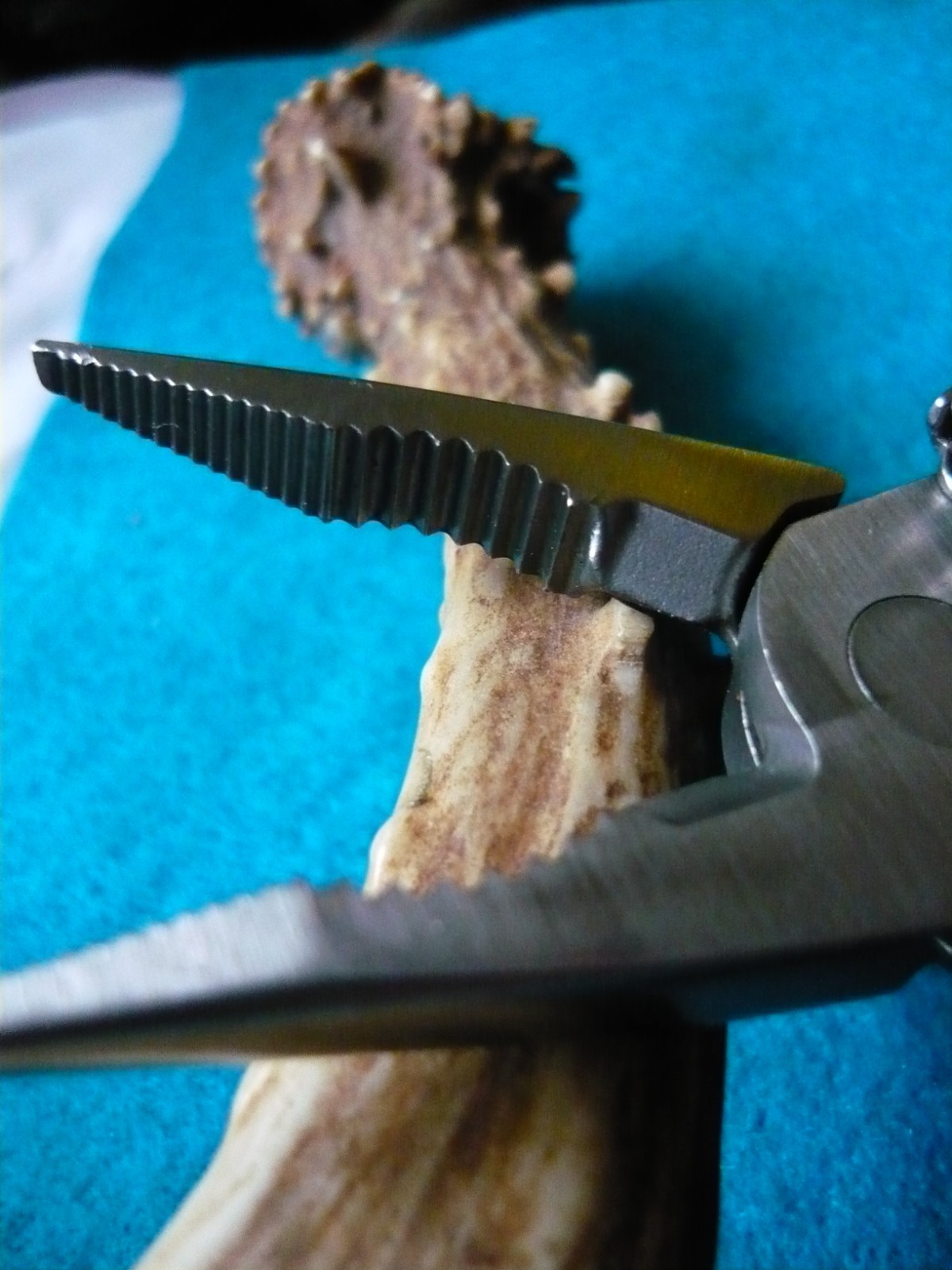 ***LEATHERMAN WINGMAN MULTI-TOOL! FAST SHIPPING! *GOOD OVERALL***#1