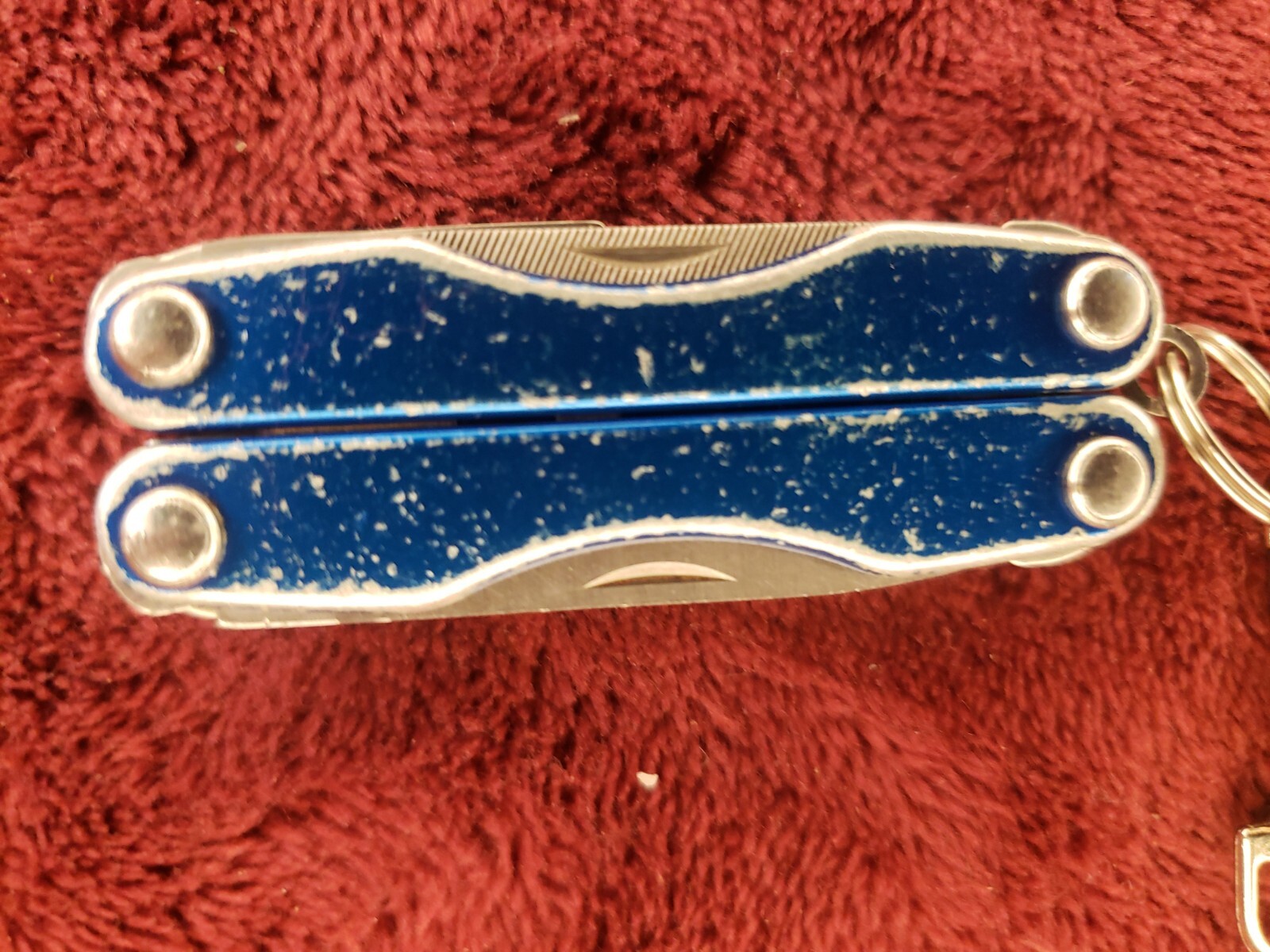 🔪 Leatherman Squirt P4 Multi-Tool Blue Keychain