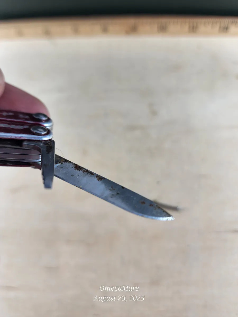Leatherman Squirt S4 #6GR heavy cosmetics, light usage.