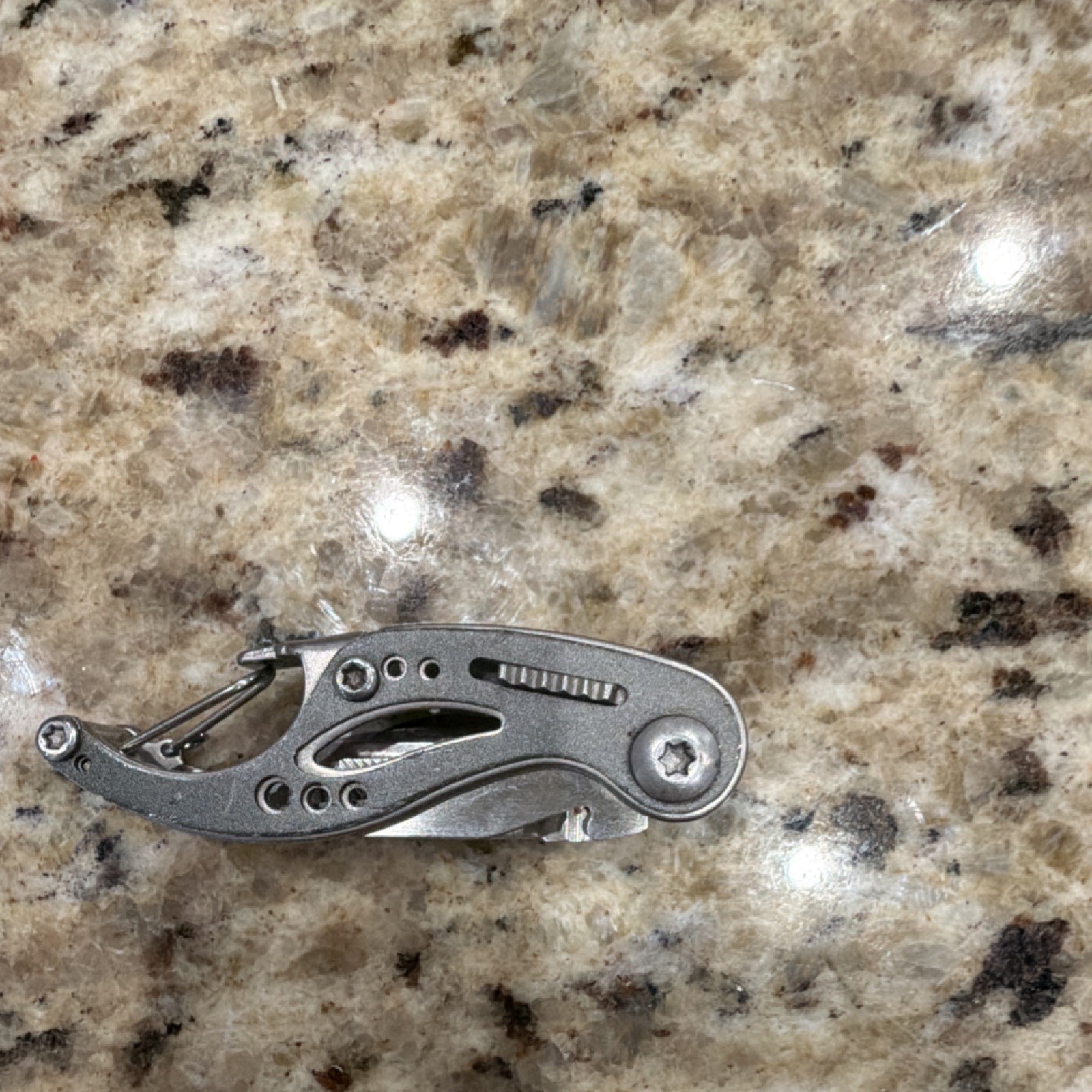 Gerber Curve Stainless Steel Multi-Tool Silver Knife File Screwdriver Carabiner