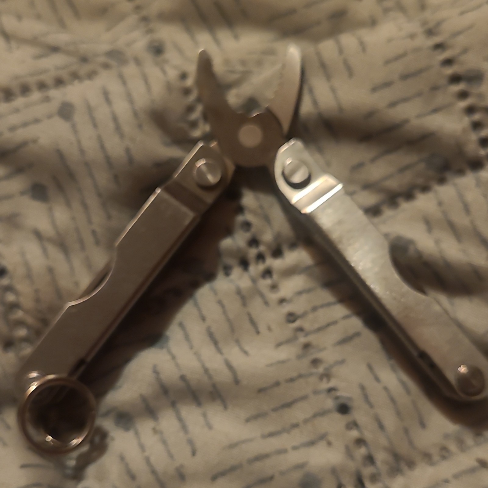 Stainless Steel Folding Multi-Tool Keychain, Knife & Scissors, 4in Silver