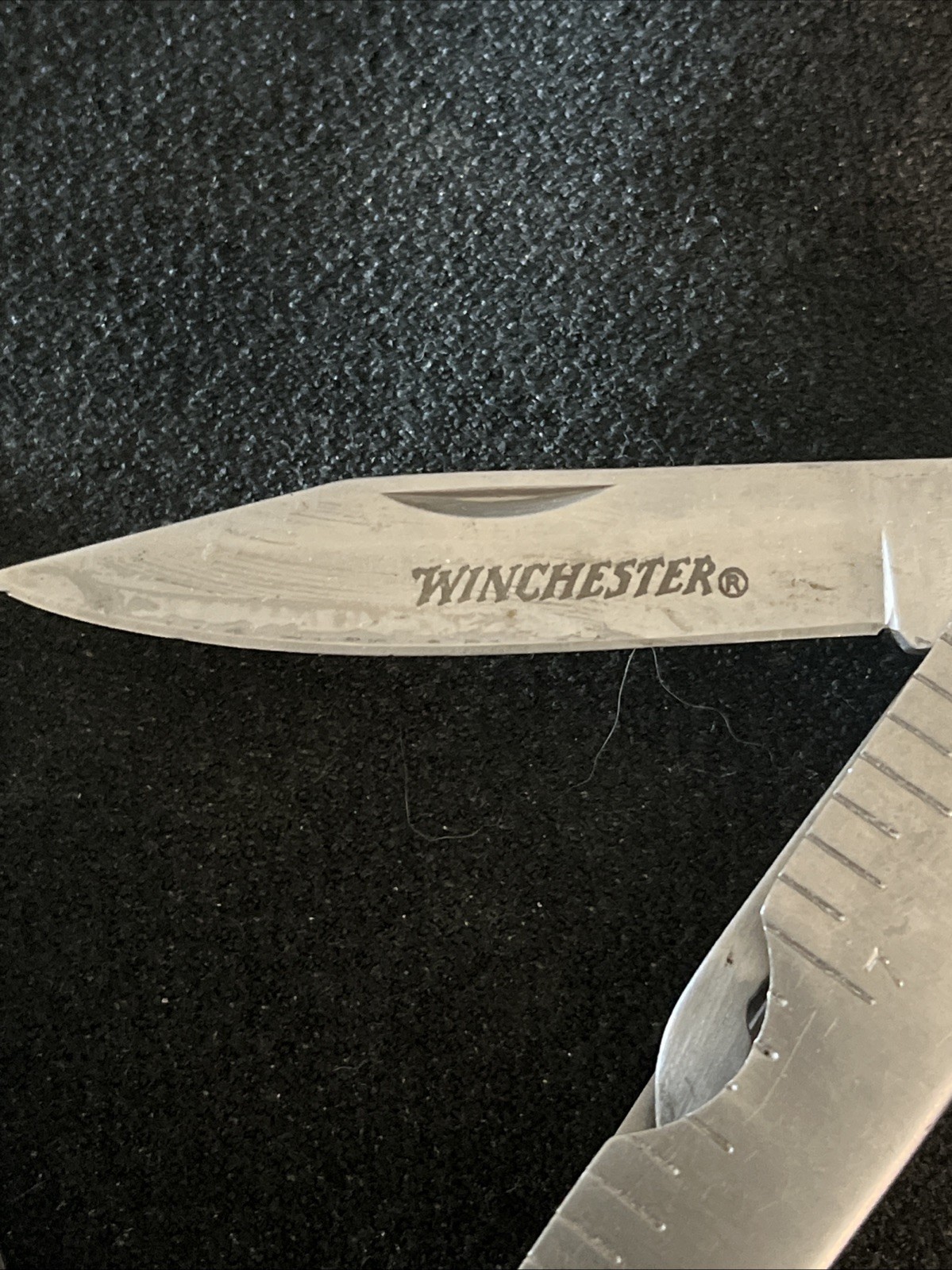 Winchester Stainless Steel Multi-Tool Pliers Serrated Knife Sheath 4 1/2”