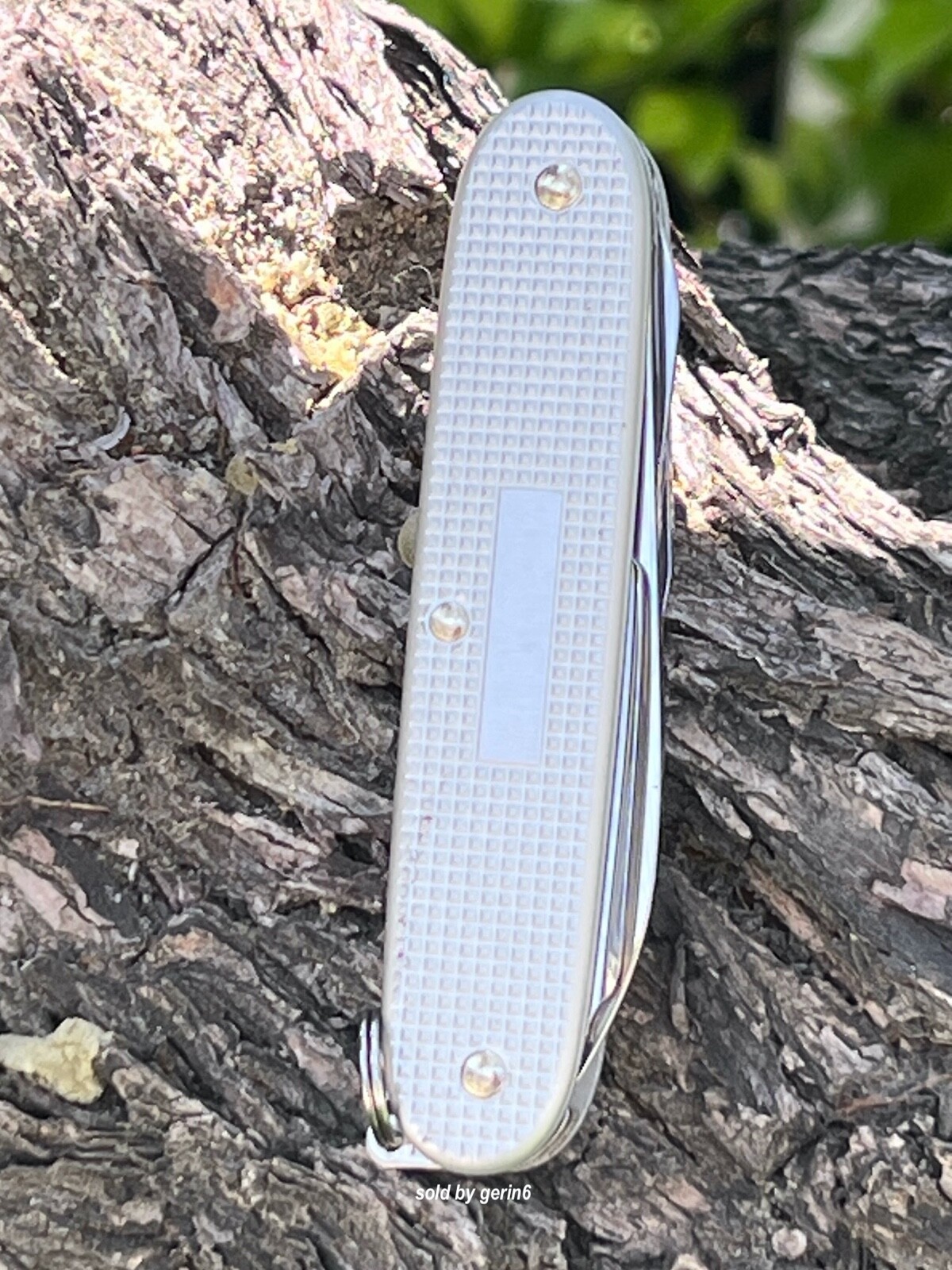 Swiss Army Knife, Pioneer X Silver Alox, Victorinox 0.8231.26, New In Box