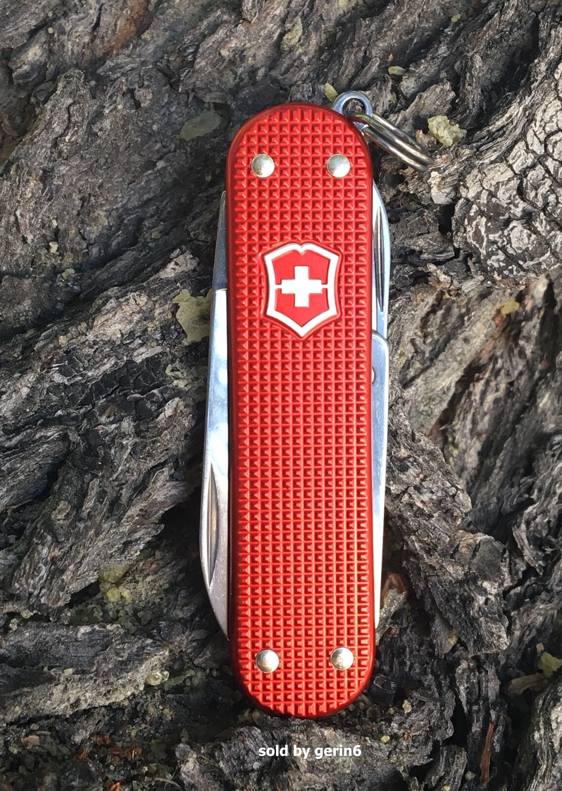 Swiss Army Knife, L.E. Berry Red Classic Alox Victorinox 0.6221.L18 New In Box