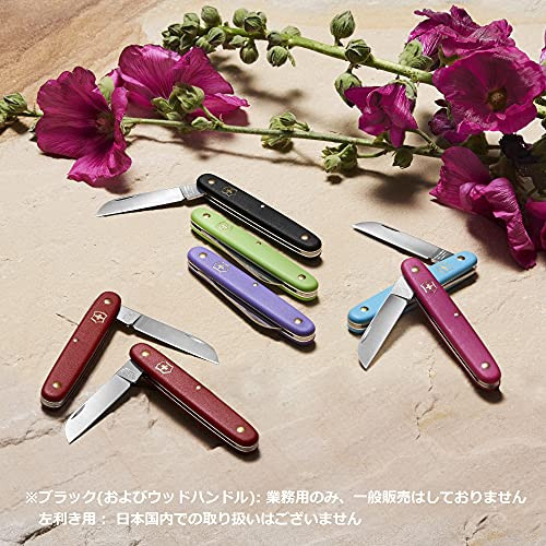 Victorinox Garden Floral Knife Swiss Made Straight Blade Stainless Steel
