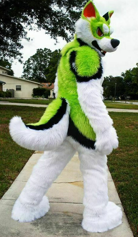 2022 Long Fur Husky Dog Fox Mascot Costume Fursuit Halloween Suit Cosplay 73#