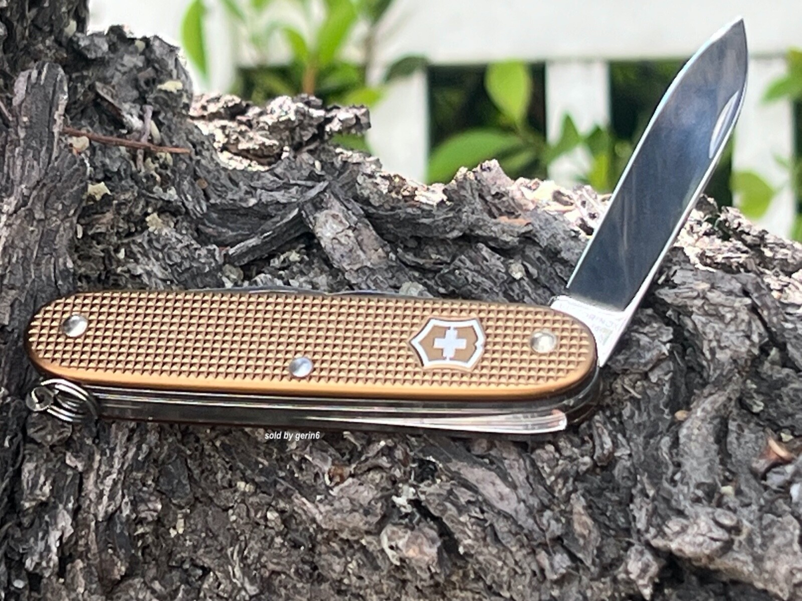 Swiss Army Knife, L.E. Pioneer X Terra Brown, Victorinox 0.8231.L24, New In Box