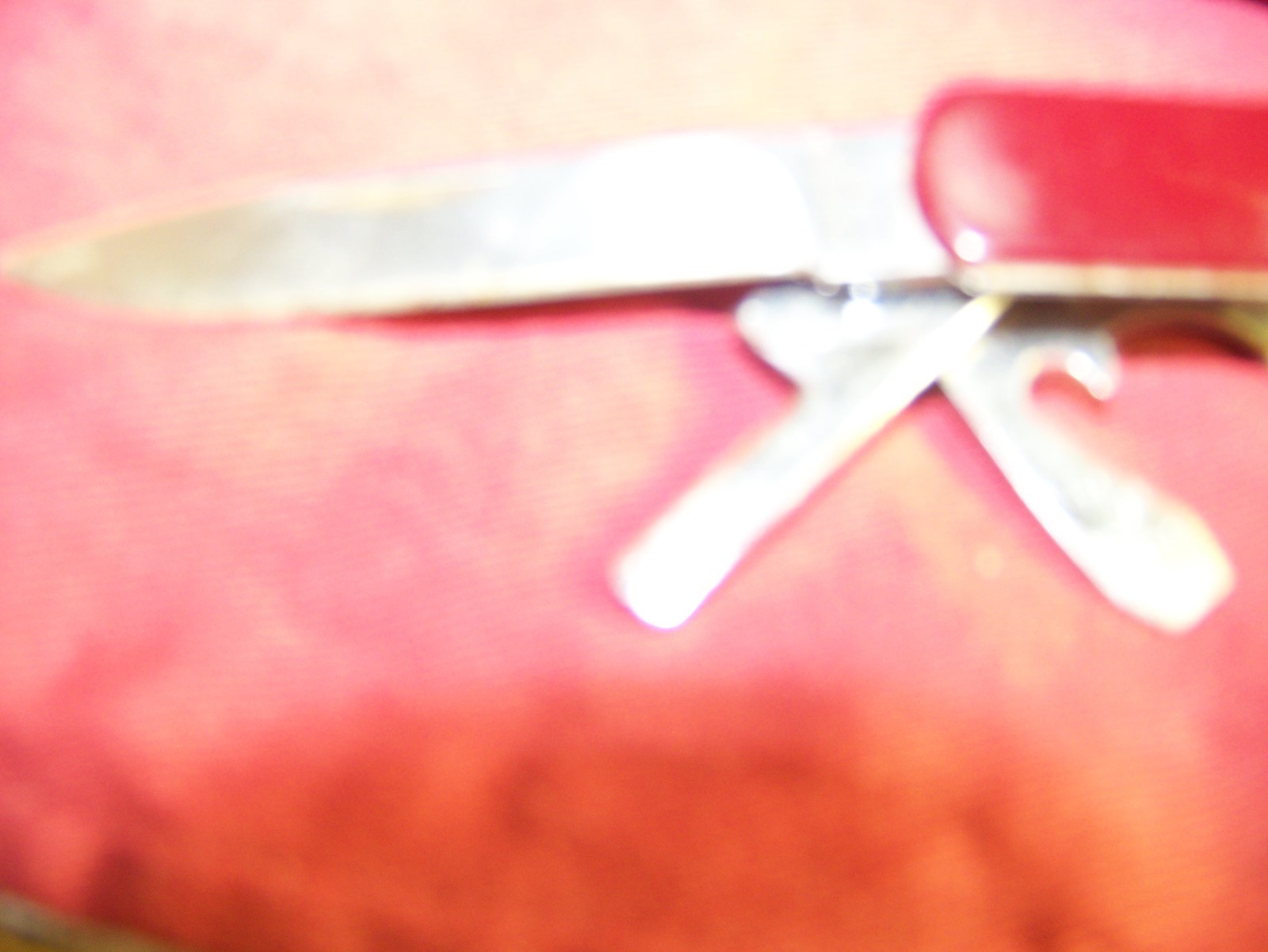 Life Long multi tool