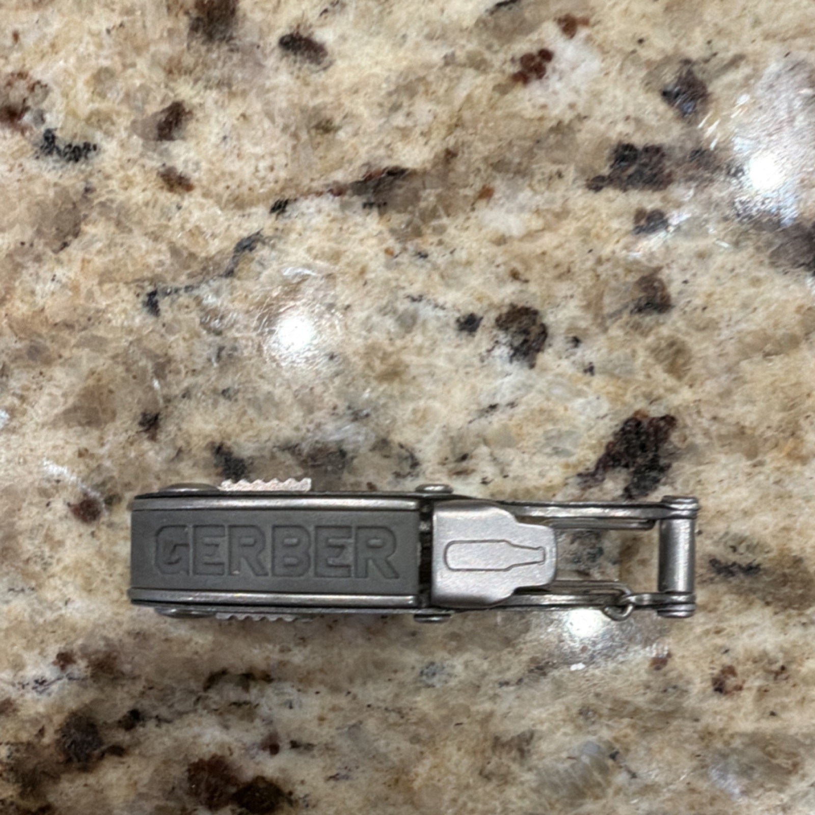 Gerber Curve Stainless Steel Multi-Tool Silver Knife File Screwdriver Carabiner