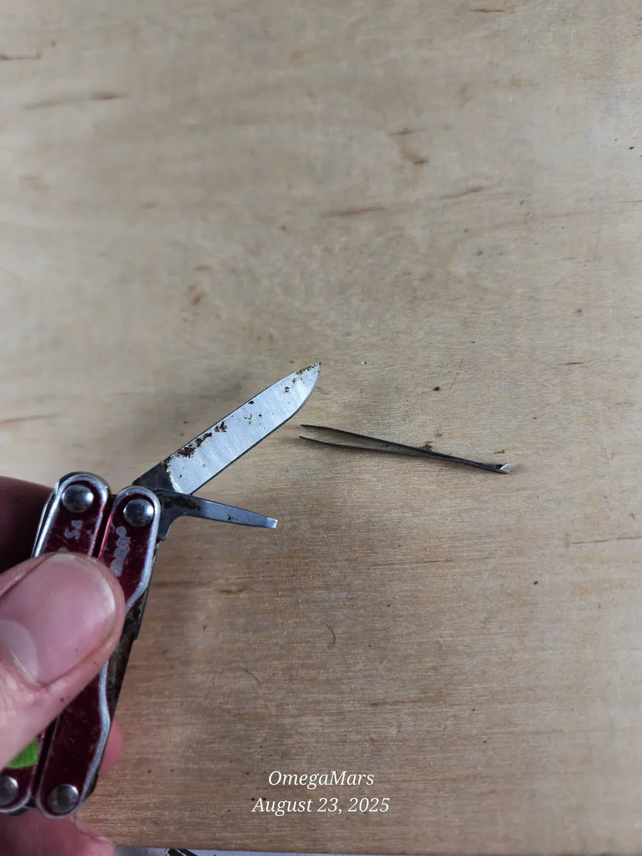 Leatherman Squirt S4 #6GR heavy cosmetics, light usage.