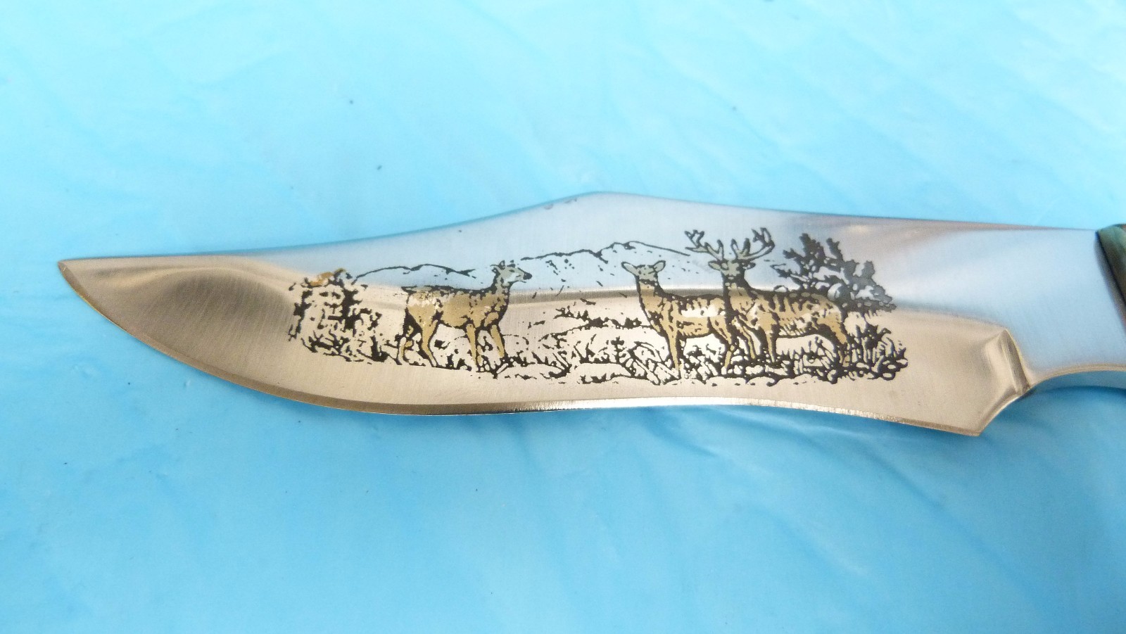 DEER HUNTER 10″ FIXED BLADE COLOR LAYERED WOOD HANDLE W/ BOX & LEATHER SHEATH #9