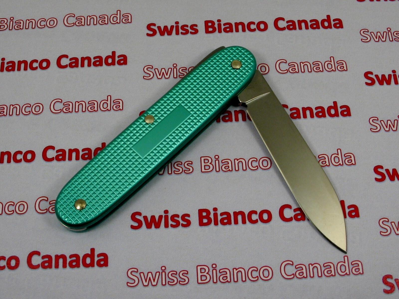 Swiss Bianco Exclusive Victorinox Solo Summer Turquoise Alox Swiss Army Knife