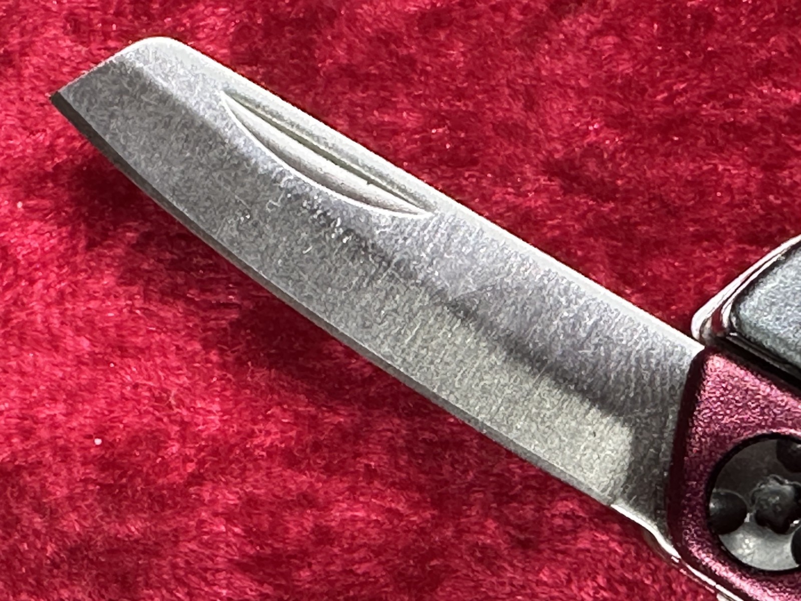 Gerber Dime Burgundy Wine Mini Multi-Tool Keychain Random Pick Rare Color (678)