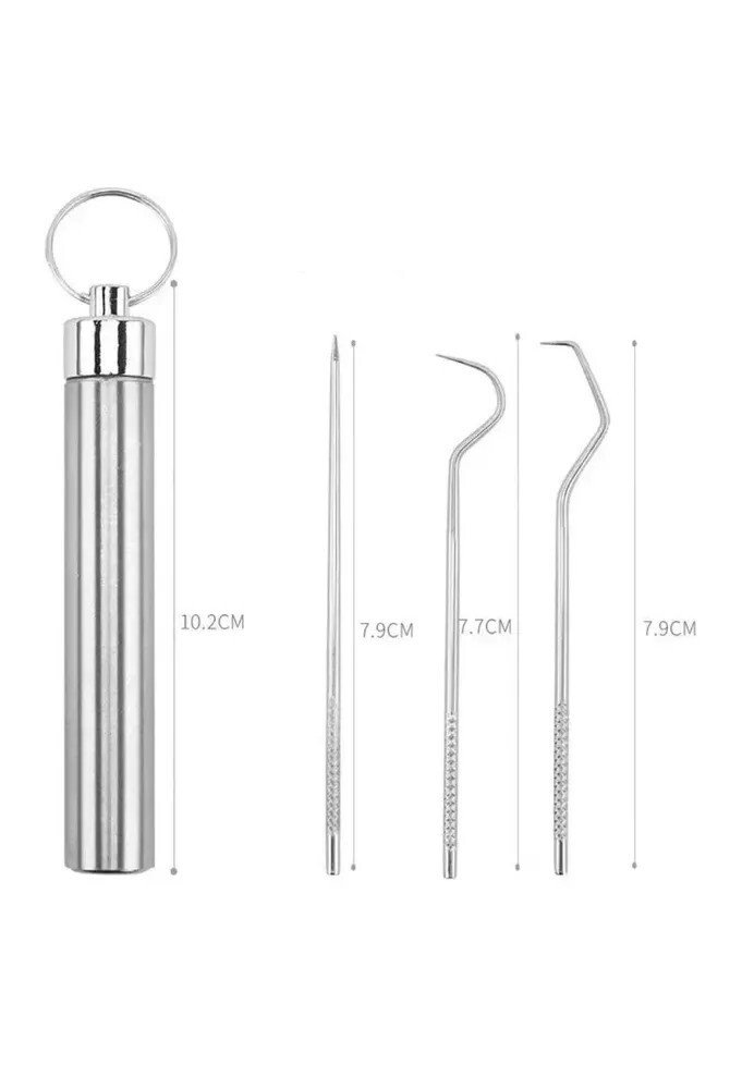 7PC Portable Steel Toothpicks Set Reusable Metal Toothpick Kit gift holiday Camp
