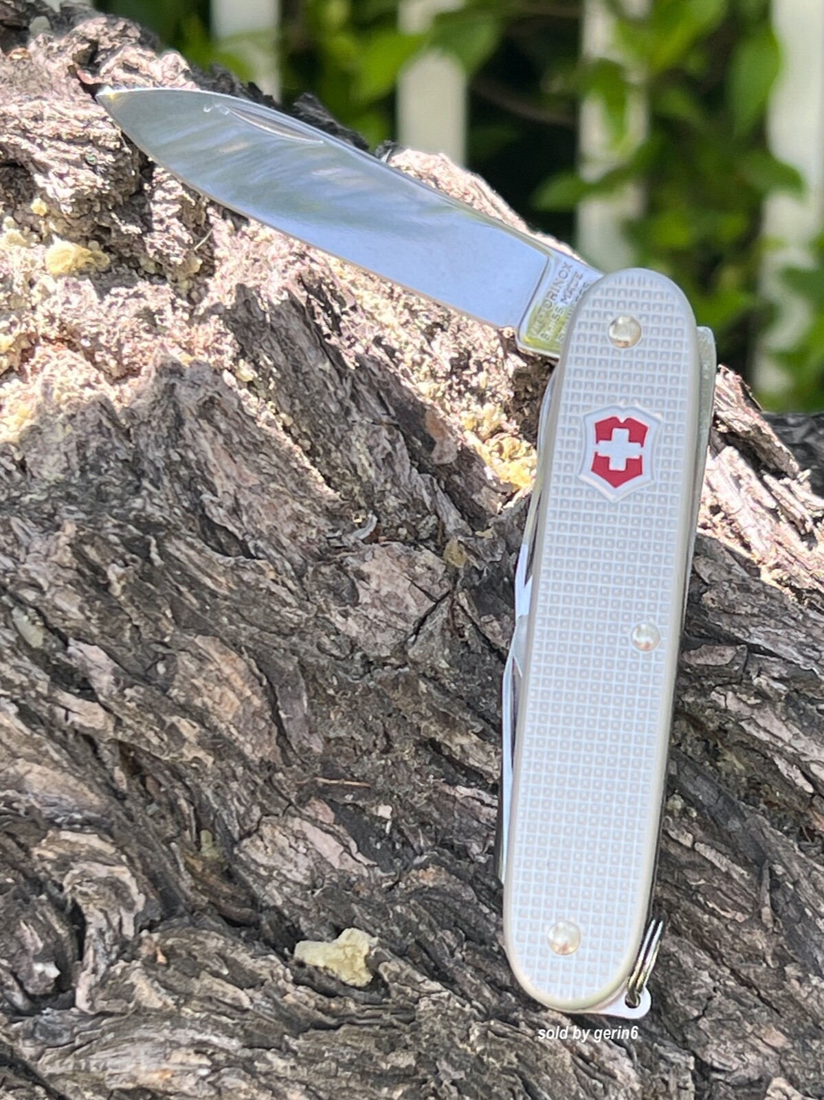 Swiss Army Knife, Pioneer X Silver Alox, Victorinox 0.8231.26, New In Box